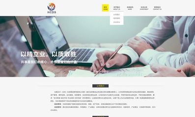 北京網站建設營銷型網站建設行業網站建設企業網站定制開發-科威鯨網絡-科威網絡科技